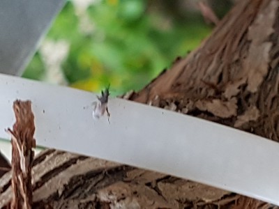 20170724_192507.jpg