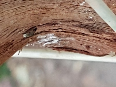 20170724_192724.jpg