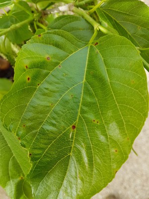 20180308_090226-min.jpg