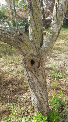 IMG-20180420-WA0008.jpg