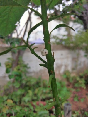 IMAG06171.jpg