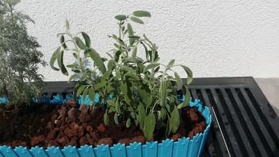 20180927_114342.jpg