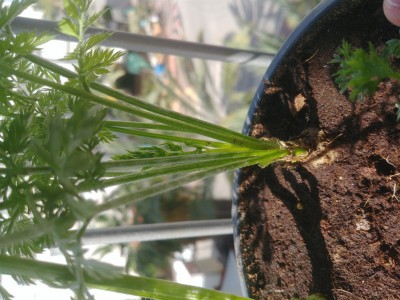 20190416_154602_1024x768.jpg