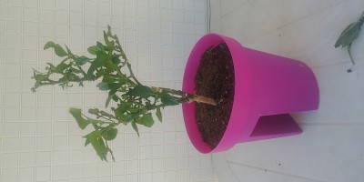 20190529_180309.jpg