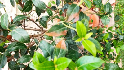 IMG_20210906_093041.jpg