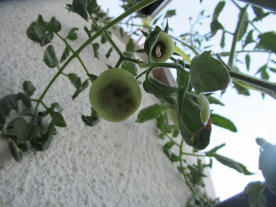 img_7613_optimized.jpg