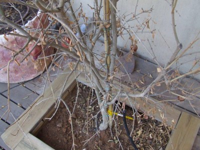 DSCF4198.jpg